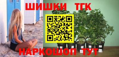 индика Кунгур