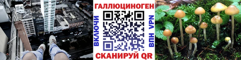 купить наркотики сайты МЕГА онион Галлюциногенные грибы MAGIC MUSHROOMS Камышин