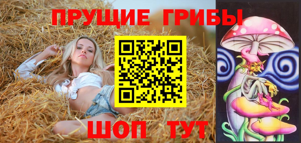 Псилоцибиновые грибы ЛСД Камышин