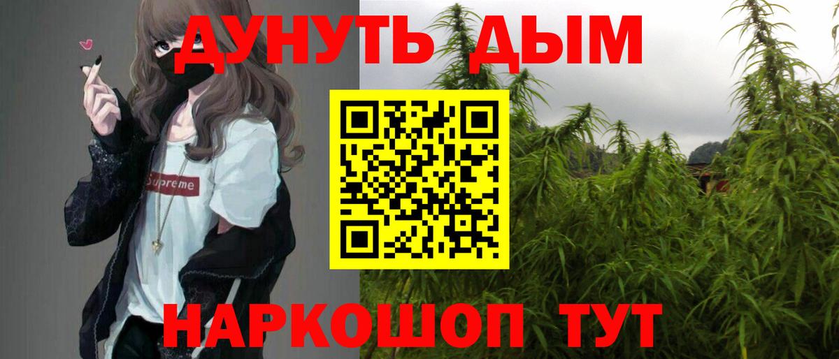 Камышин  Марихуана тримм  Бошки Шишки планчик  Вход с VPN  Конопля White Widow 